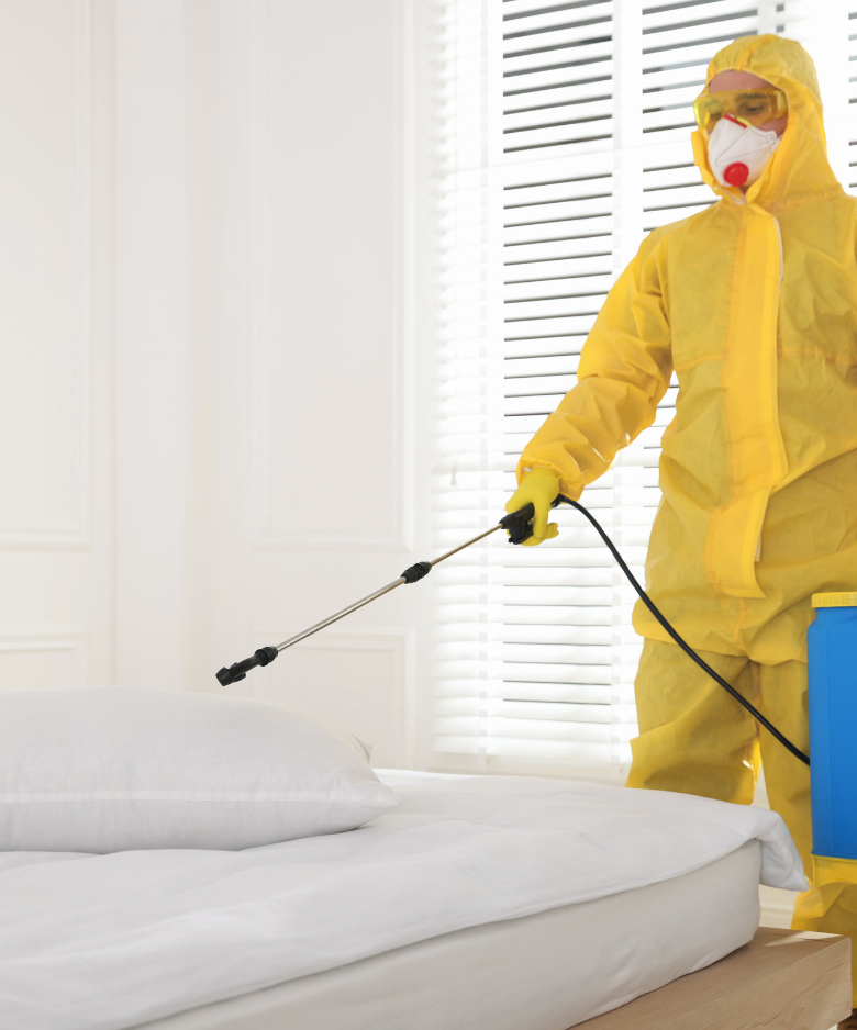Professional Pest Control Team in Ingle Farm